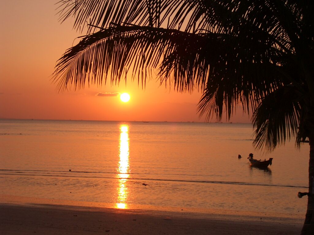 Click to See Next Image